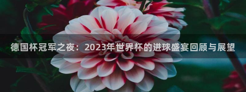 世界杯预选赛亚洲区赛程:德国杯冠军之夜:2023年世界杯的进球盛宴回顾与展望