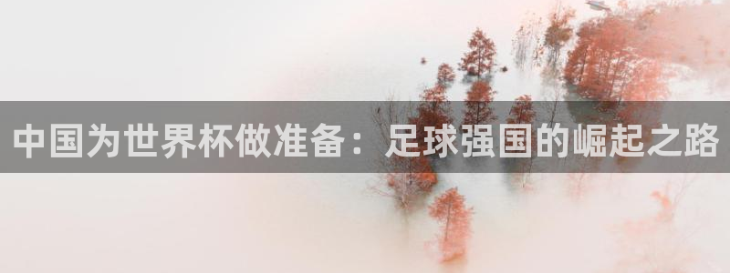 欧洲世预赛赛程表:中国为世界杯做准备:足球强国的崛起之路