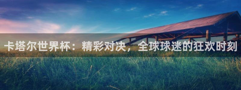 2026年世界杯直播平台:卡塔尔世界杯:精彩对决,全球球迷的狂欢时刻
