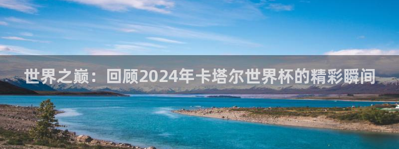 免费足球比赛直播高清:世界之巅:回顾2024年卡塔尔世界杯的精彩瞬间