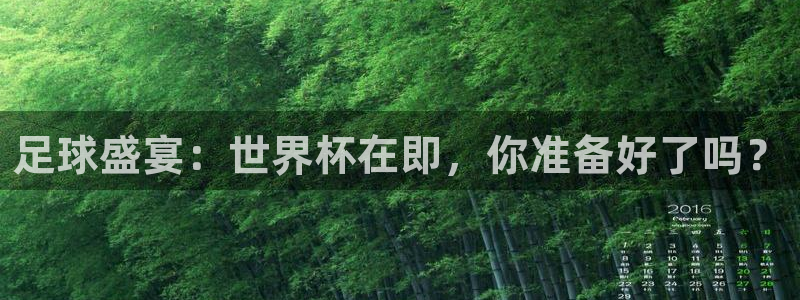 足球世界杯2026:足球盛宴:世界杯在即,你准备好了吗?
